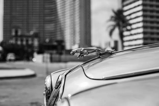 Kazoom Kasino Android/iOS Sovellus